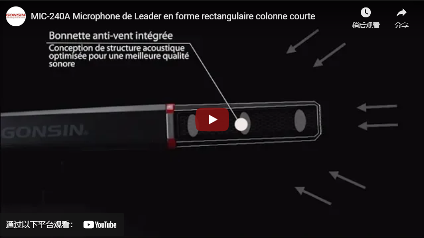 اعصار الميكروفون de Leader En Forme retgulaire Colonne Courte